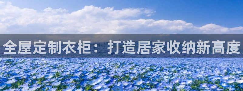 网上bb电子为什么那么假的