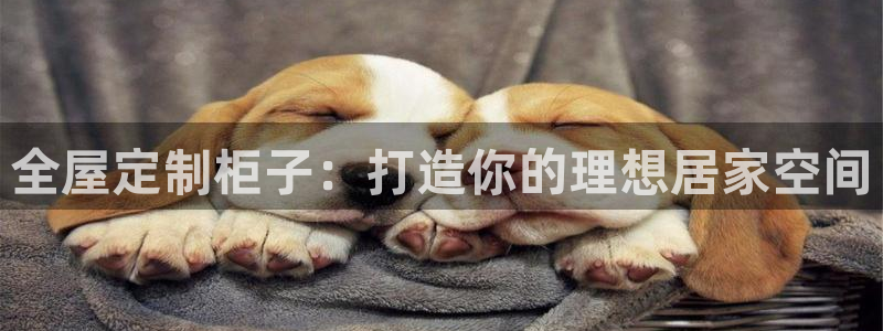 bb电子糖果哪个网站好mg官方电子平台