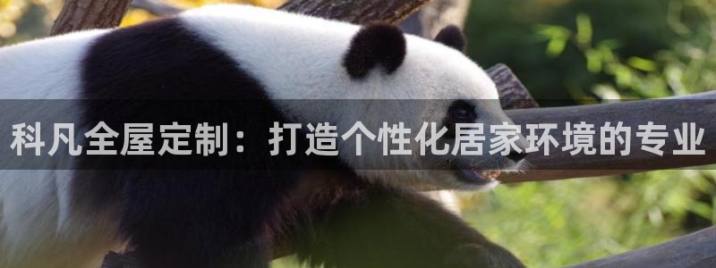 bb电子掉彩金
