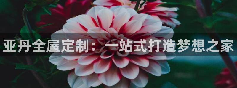 bb电子游戏作弊