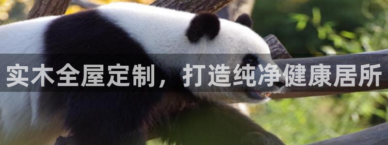 bb电子哪个平台好一点