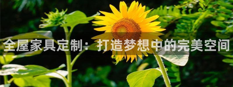 BB电子开户