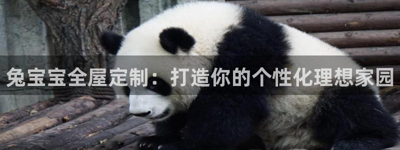 bb电子糖果哪个网站好mg官方电子平台