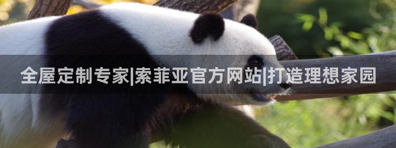 Bb电子琴和弦是哪个