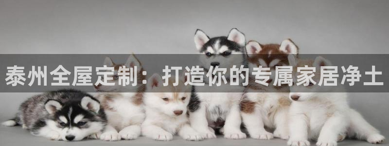 bb电子最简单设置方法