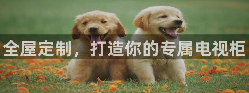 bb电子掉彩金