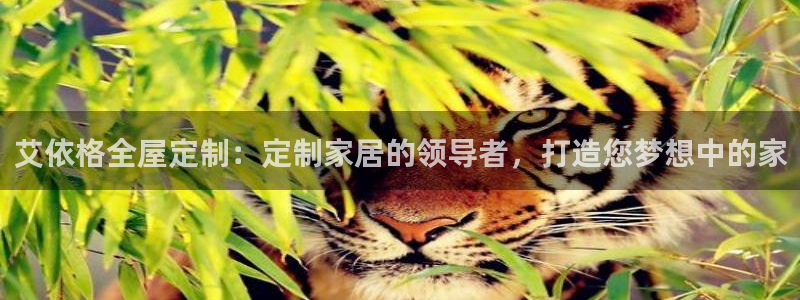 BB电子烟官网