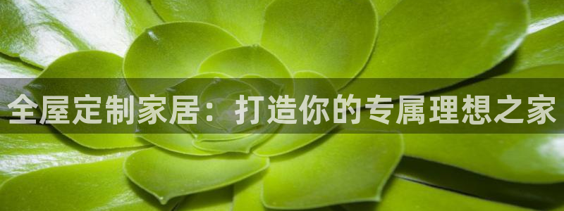 xbb电子游艺