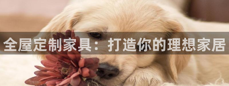 bb电子超级奖池彩金多少钱
