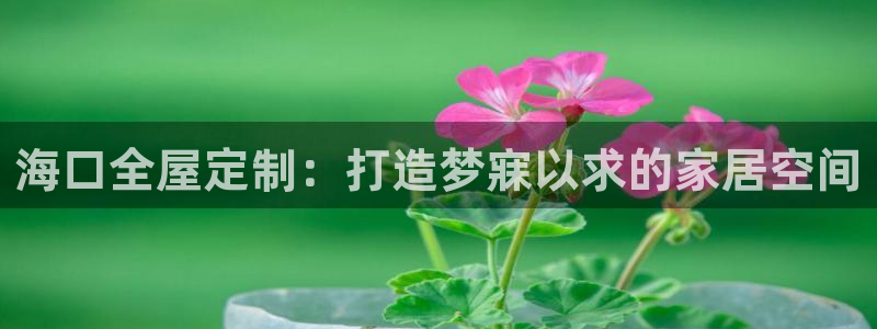 bb电子哪个平台好用一点