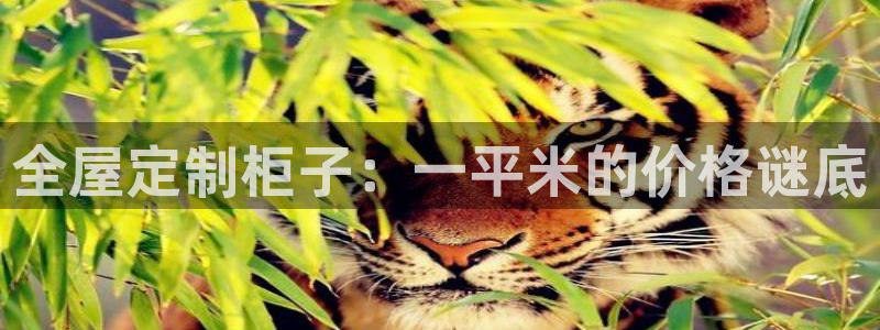 bb电子超级奖池彩金多少钱