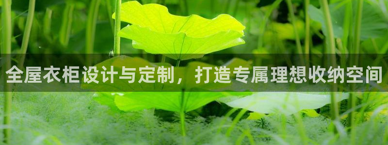 bb电子哪个平台好点