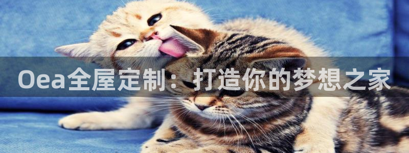 bb电子最简单设置方法