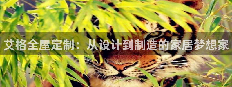 BB电子游戏钱得钱