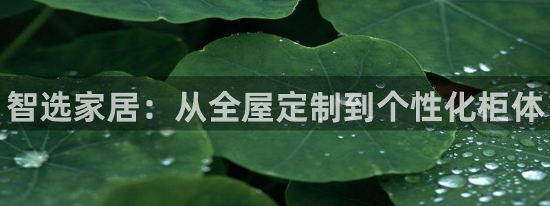 bb电子教育平台