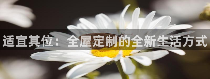 bb电子mini彩金