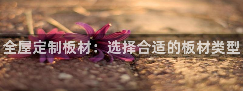 bb电子官网登录