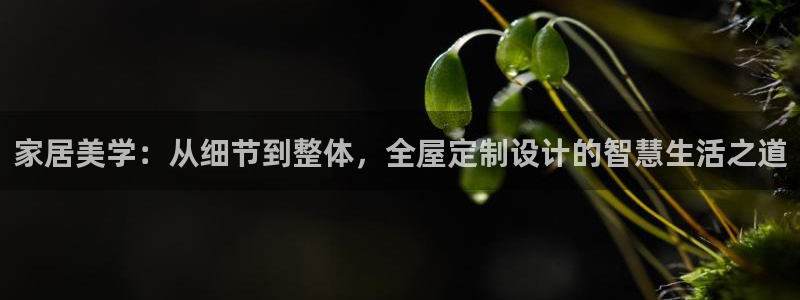 bb电子怎么英语怎么说