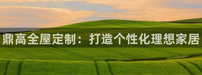 网上bb电子为什么那么假