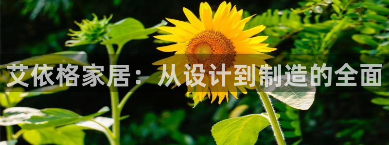 bb电子哪个游戏好赢钱一点的