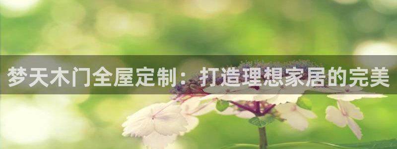 BB电子麻将胡了