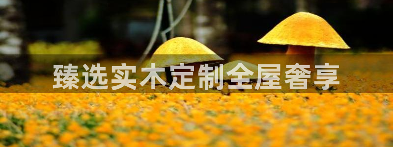 bb电子怎么英语怎么说