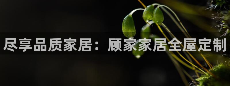 bb电子哪个平台好用一点