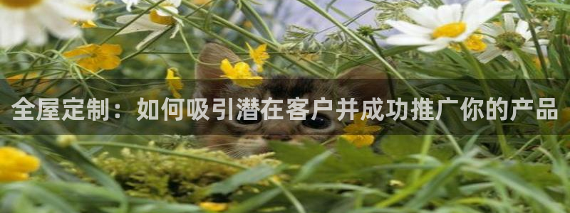 bb电子哪个游戏好赢钱一点的