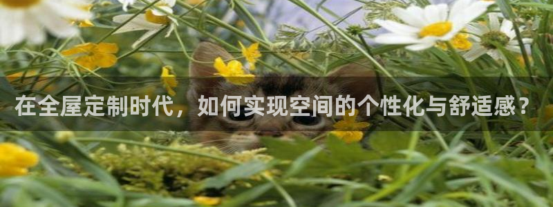 bb电子官网登录