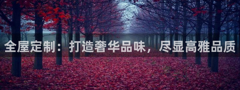 bb电子哪个平台好用