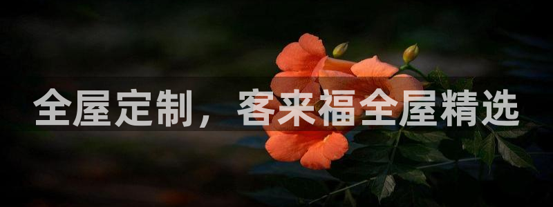 bb电子哪个平台好用一点