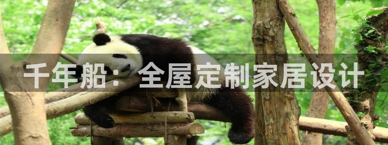 bb电子为什么总赢不了