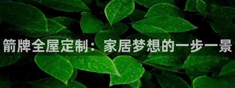 bb电子哪个平台好用一点