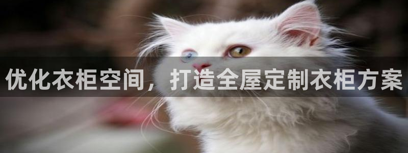 bb电子中了Major怎么算