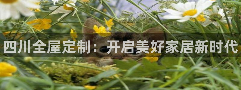 bb电子糖果彩球