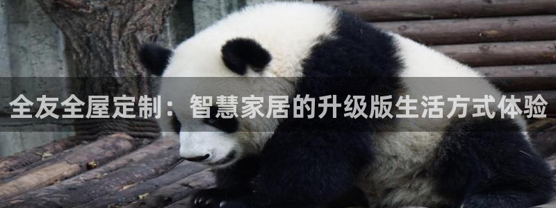 bb电子哪个平台好用点